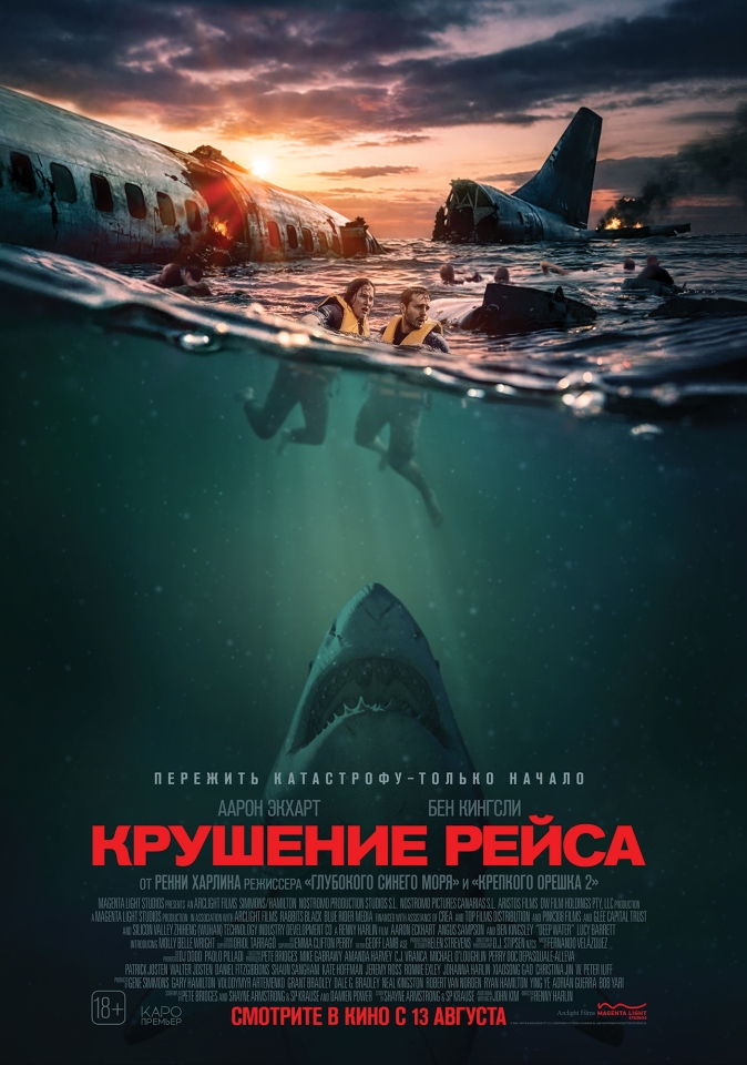 Постер фильма «Крушение рейса»
