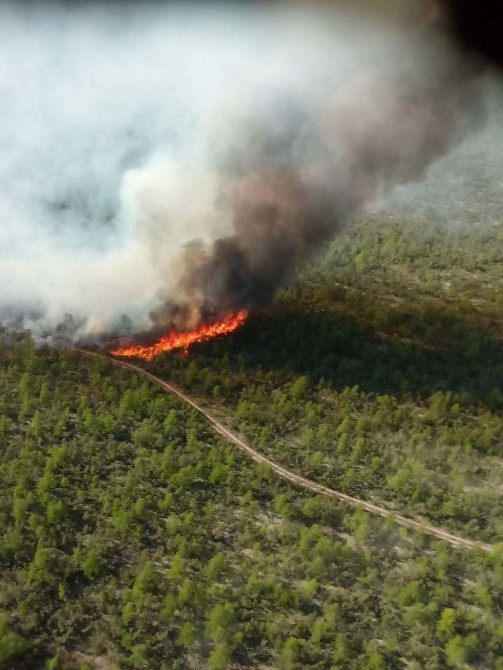 Ситуацию с лесным пожаром в Охинском районе удалось стабилизировать