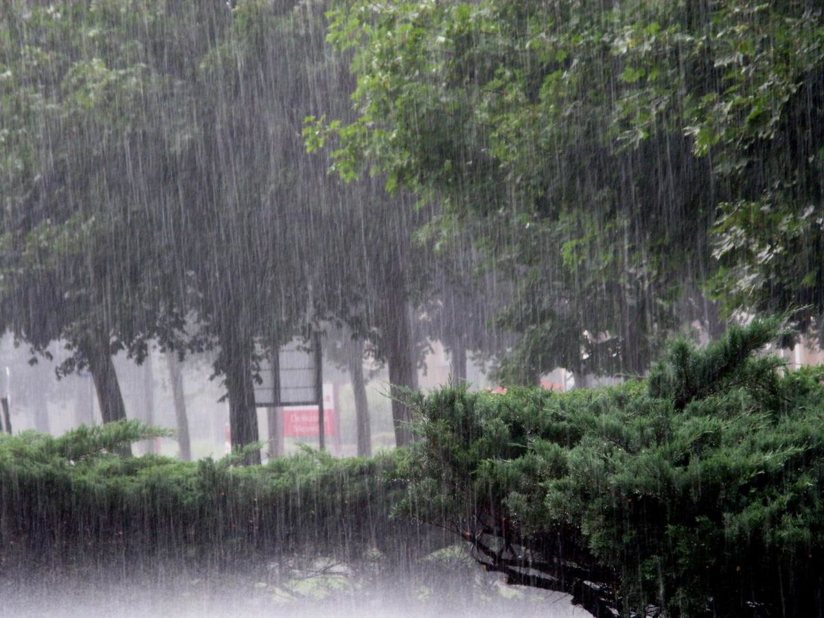 Сильные ветер и дождь принесет на Сахалин тайфун "Хиннамнор"
