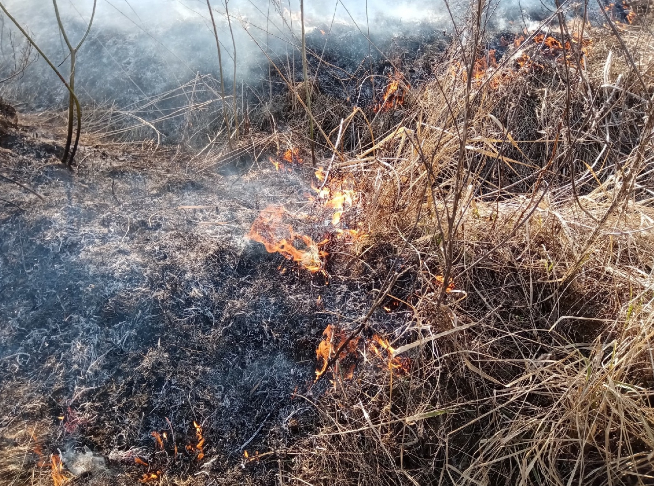 В Охе пожарные ликвидировали возгорание сухой травы