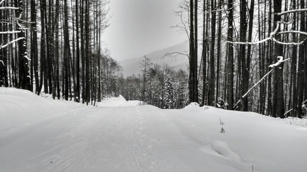 В Cахалинской области открыто более пятнадцати трасс для беговых лыж
