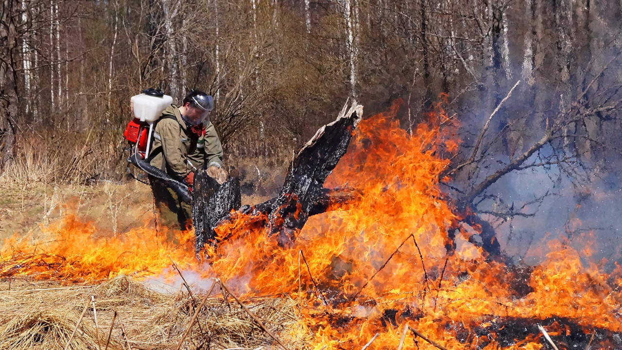 В Охинском районе снова прогнозируется высокая пожарная опасность лесов