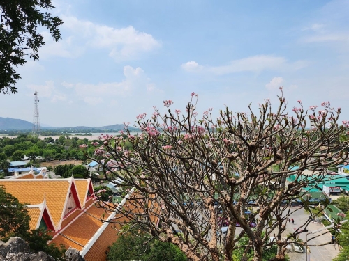 Сахалинцы на новогодние праздники стали чаще летать во Вьетнам, Гонконг и Индию