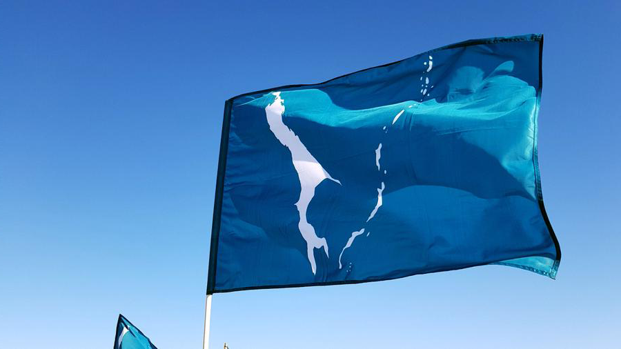 Сегодня отмечается День флага Сахалинской области