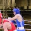 На Сахалине завершились Всероссийские соревнования по боксу «Юности Сахалина» 10