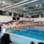 Охинские спортсмены приняли участие в Чемпионате Сахалинской области по плаванию 0