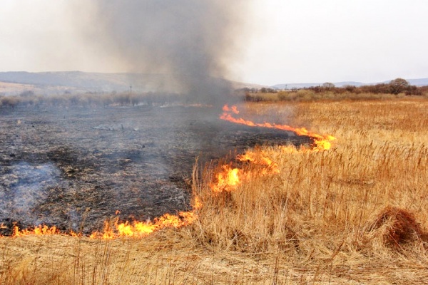 Пожарные потушили возгорание сухой травы в районе озера Светлого