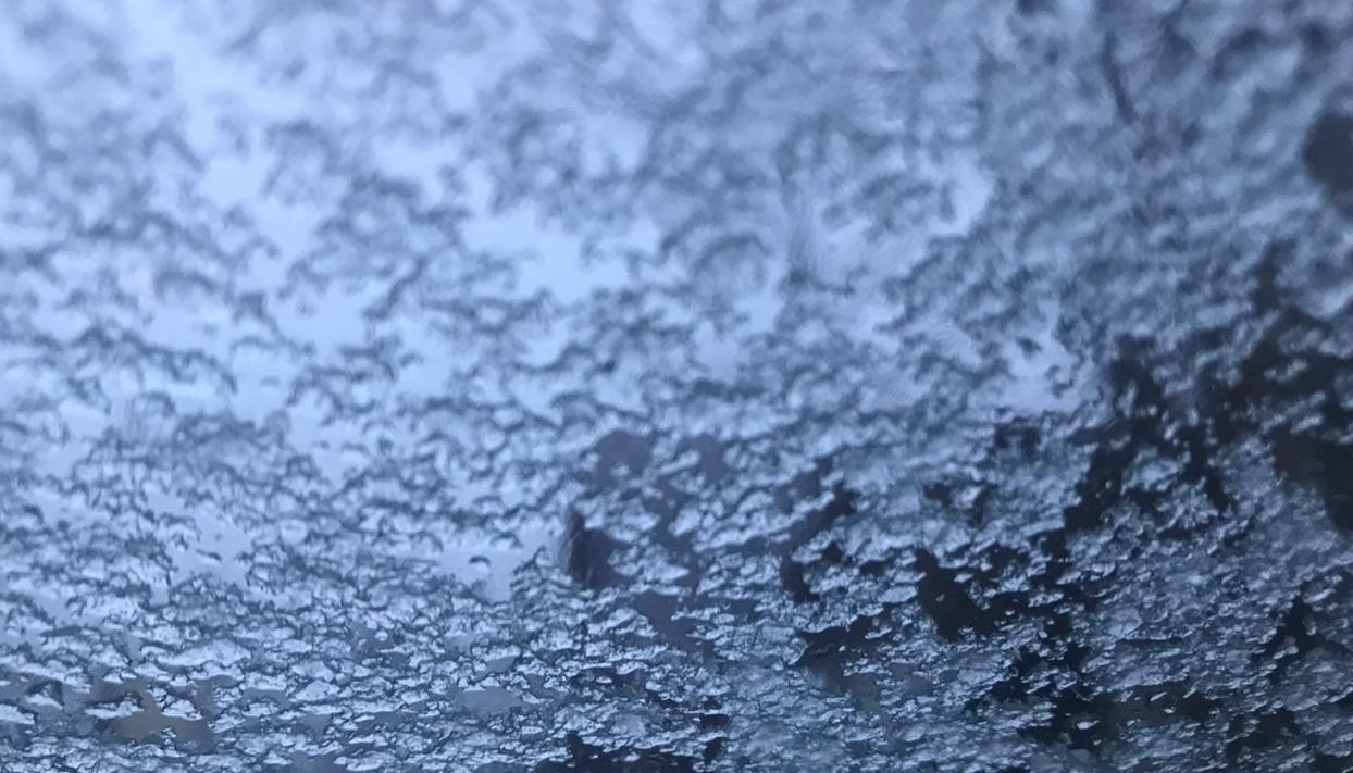 МЧС предупреждает о мокром снеге с ветром на севере Сахалина