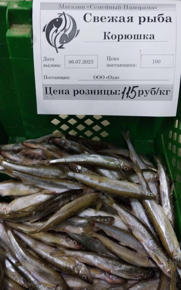 В Охинском районе продолжается реализация свежевыловленной рыбы по сниженным ценам
