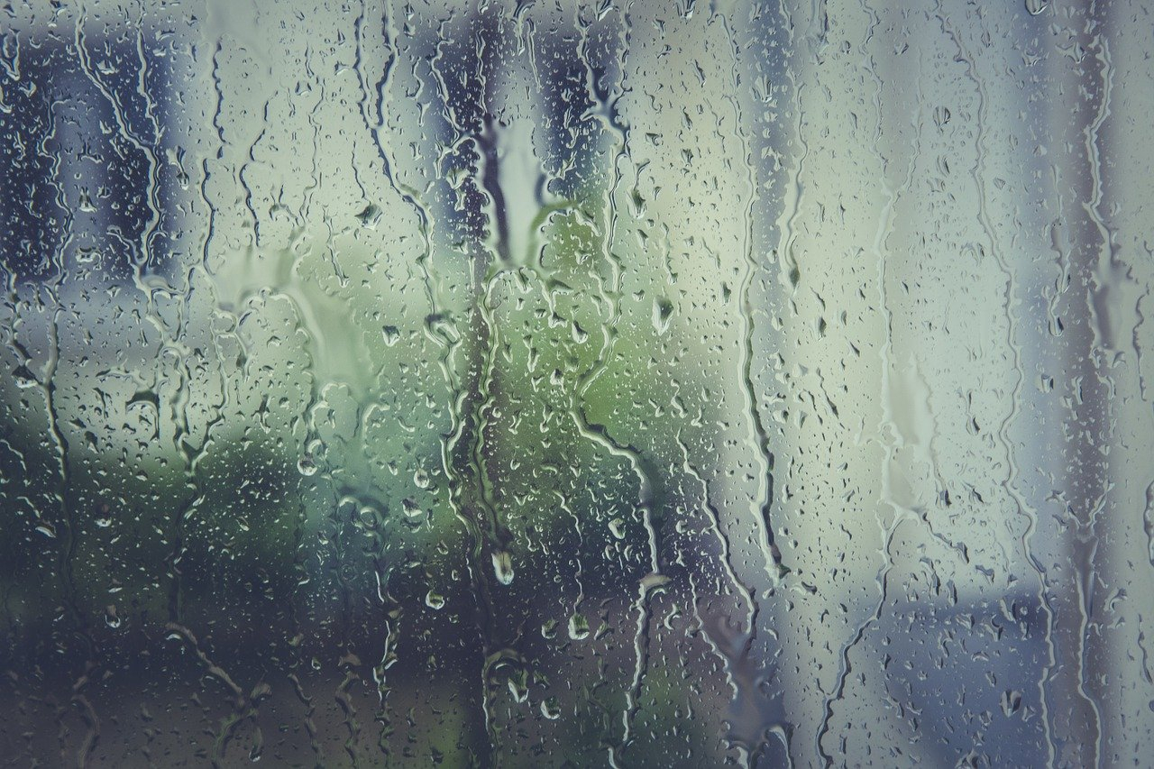 Лето на Сахалине закончится неустойчивой погодой с дождями