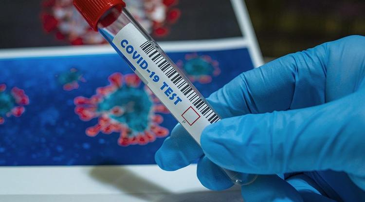 В Сахалинской области продолжают действовать ограничения из-за коронавируса