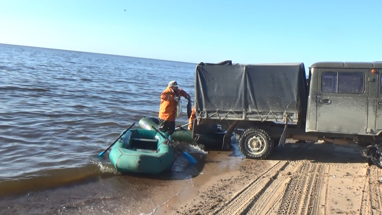 Рыбопромышленники обеспокоены безнаказанностью браконьеров в Охинском районе