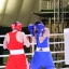 На Сахалине завершились Всероссийские соревнования по боксу «Юности Сахалина» 24