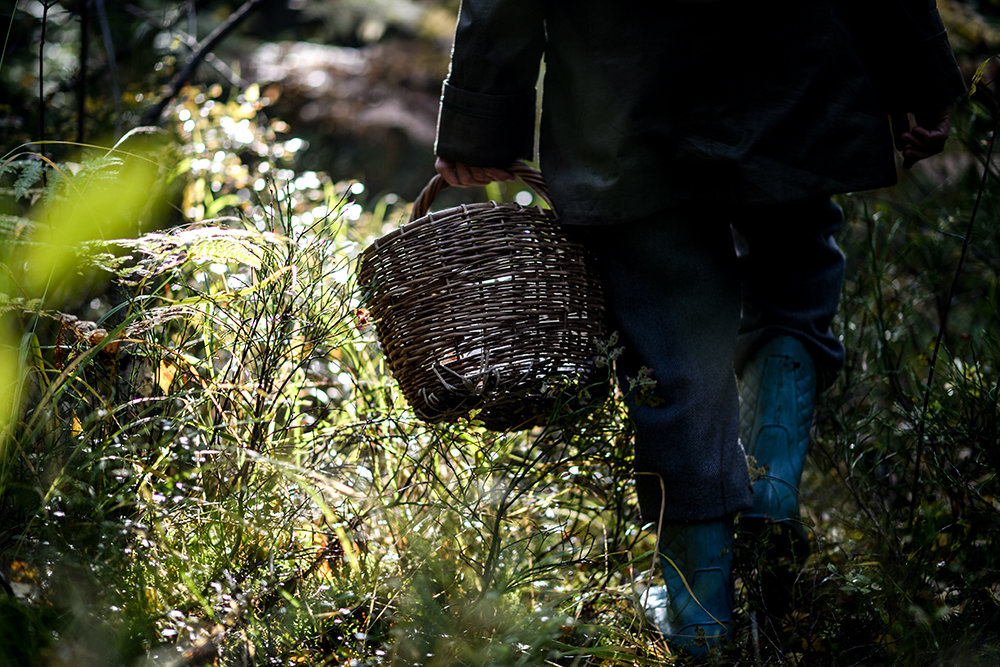 Почти сутки две сахалинские пенсионерки плутали по лесам в Охинском районе