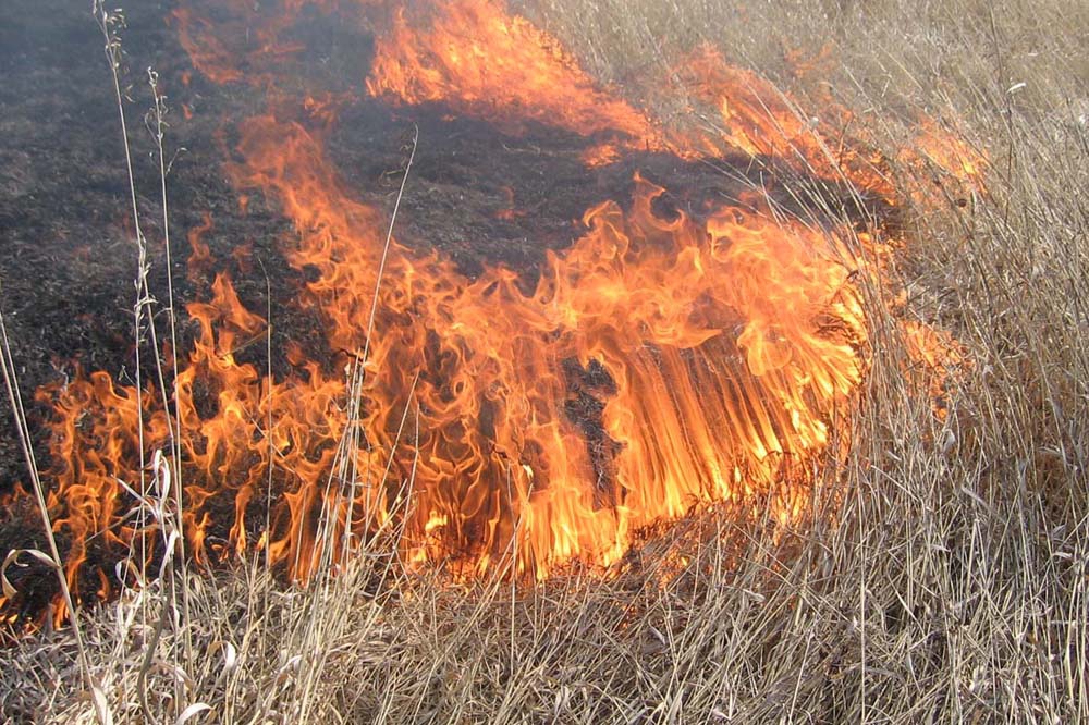 На территории Сахалинской области с апреля начался весенне-летний пожароопасный сезон