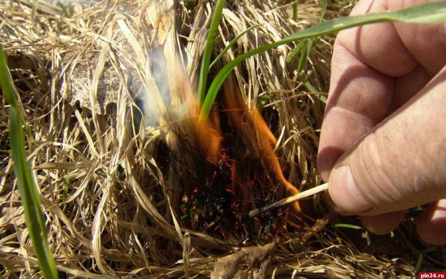 Охинское лесничество напоминает жителям о запретах на сжигание сухой травы и мусора