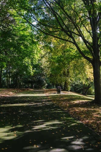 На Сахалине вводят штрафы за курение на остановках, в парках и скверах