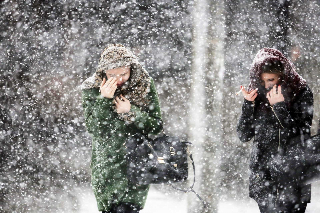 Сильный снег и метель ожидаются на Сахалине 15 декабря