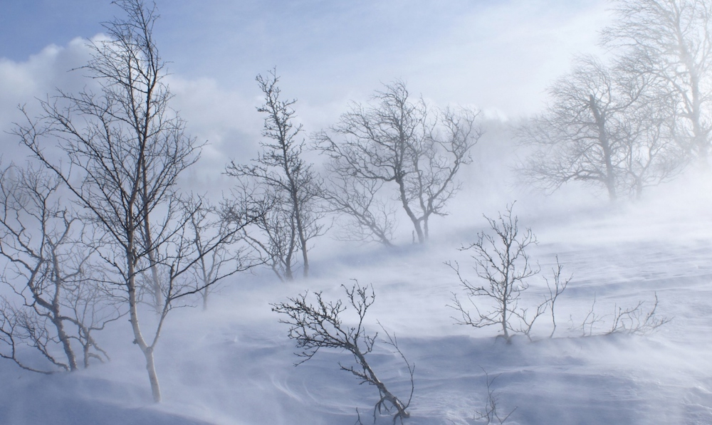 На предстоящих выходных на Сахалине ожидается холодная ветреная погода