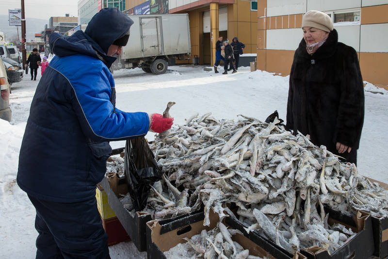 В Сахалинской области подешевела социальная рыба