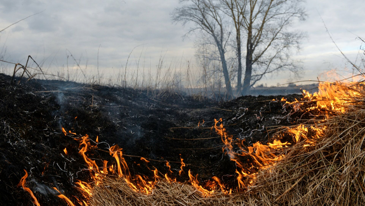 В Охе выгорело 700 квадратных метров сухой травы