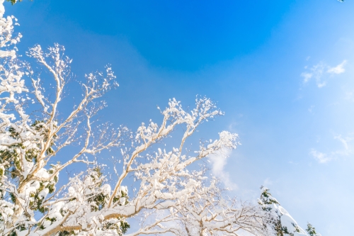 Морозы на севере Сахалина сохранятся в течение предстоящей недели