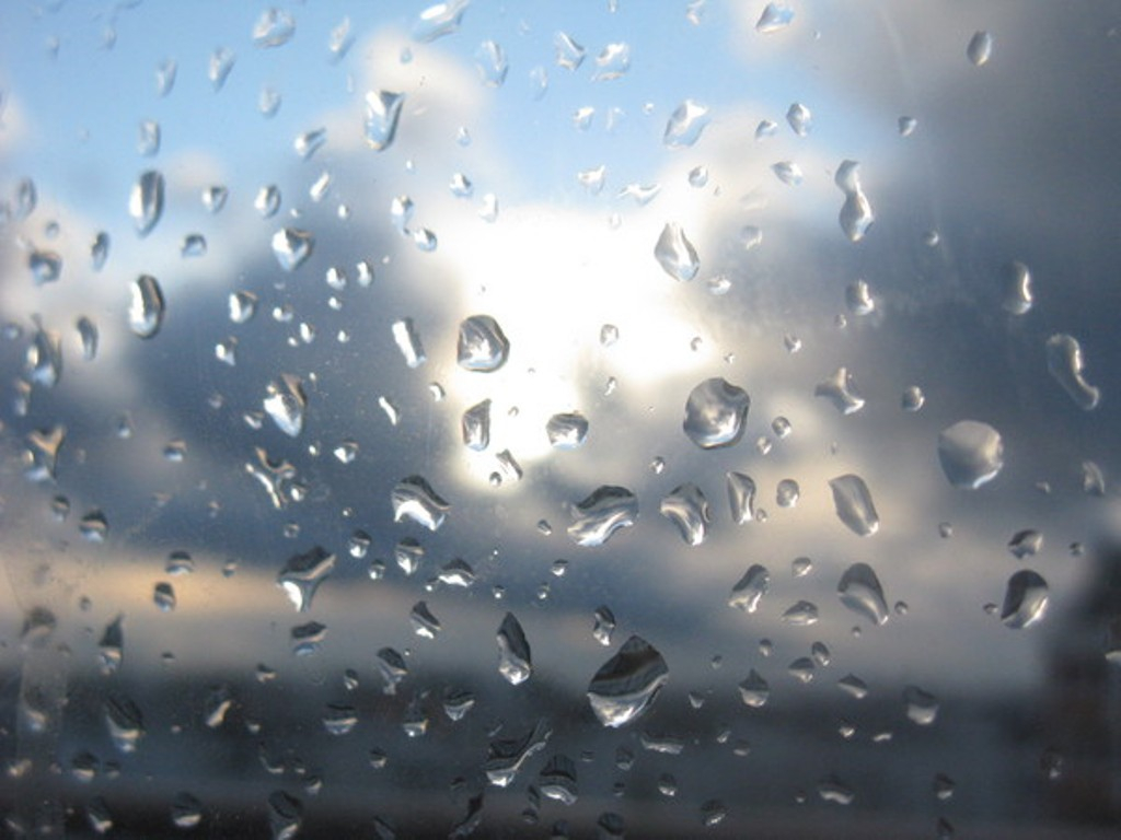 В выходные дни на севере Сахалина ожидаются кратковременные дожди