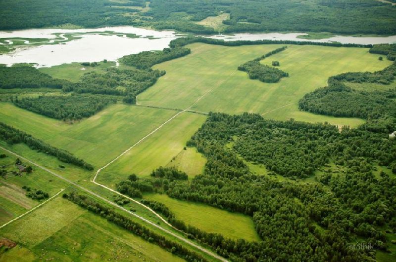 Охинское лесничество проверит земельные участки, полученные по программе "Дальневосточный гектар"