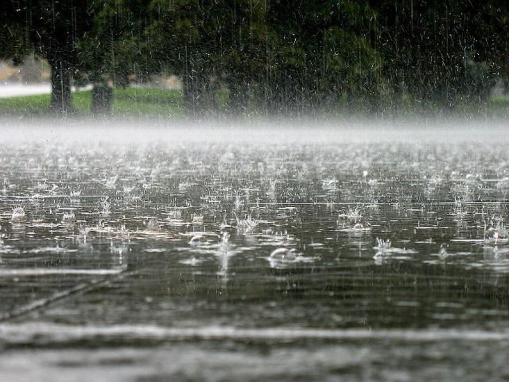 Сильные дожди и ураганный ветер ожидаются на Сахалине