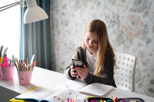 Школьники Охи продолжат обучение в дистанционном формате 17 декабря из-за циклона