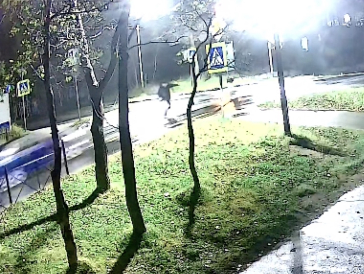 В Охе водитель сбил насмерть мужчину на пешеходном переходе