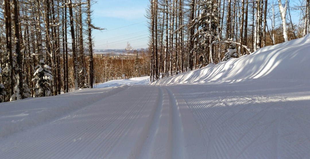 Чемпионат области по лыжным гонкам пройдет на выходных в Южно-Сахалинске