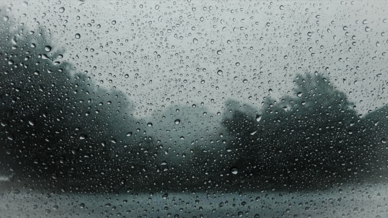 На предстоящей неделе на Сахалине ожидаются небольшие и умеренные дожди