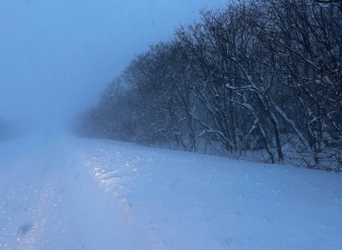 Движение на дорогах Оха – Лагури – Некрасовка – Москальво ограничено из-за метели