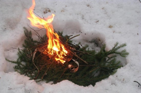В России запретили выжигать траву и разводить костры у дорог