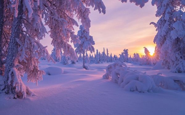 Спокойной погодой закончится зима на Сахалине