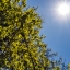 В Охинском районе объявлена высокая пожарная опасность