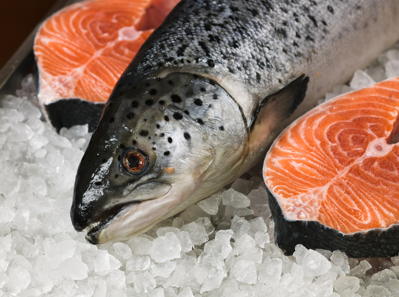 На Сахалине и Курилах добыто 24,6 тысячи тонн дальневосточных лососей