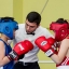 Турнир Виктора Золина определит лучшего боксёра на Сахалине 0