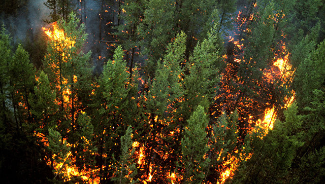 В Охинском районе зарегистрировано два природных пожара