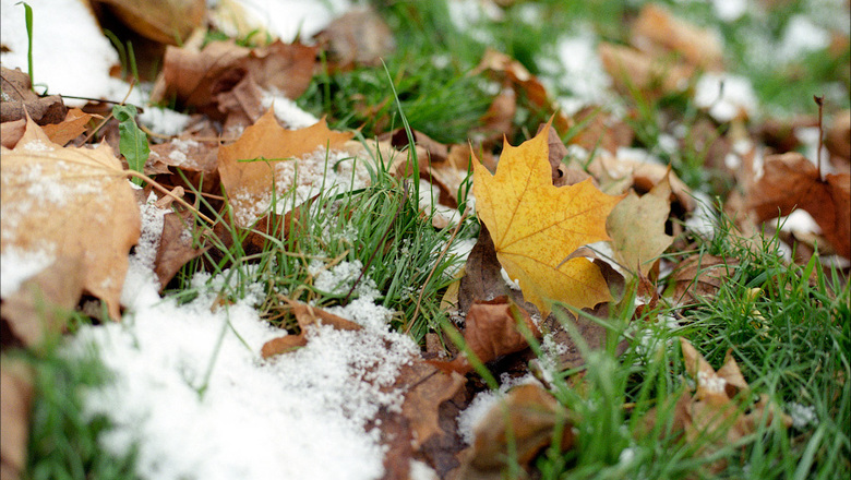 В выходные дни на севере Сахалина ожидается небольшой снег