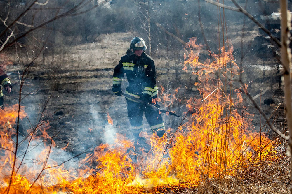 Лимаренко потребовал не допустить природных пожаров от глав Охинского, Ногликского и Северо-Курильского районов