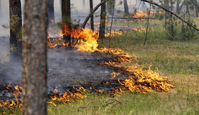 В Охинском и Ногликском районах 31 мая прогнозируют лесные пожары