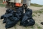 Сахалинские волонтеры обнаружили остатки ставных неводов в месте кормления серых китов на севере острова 4