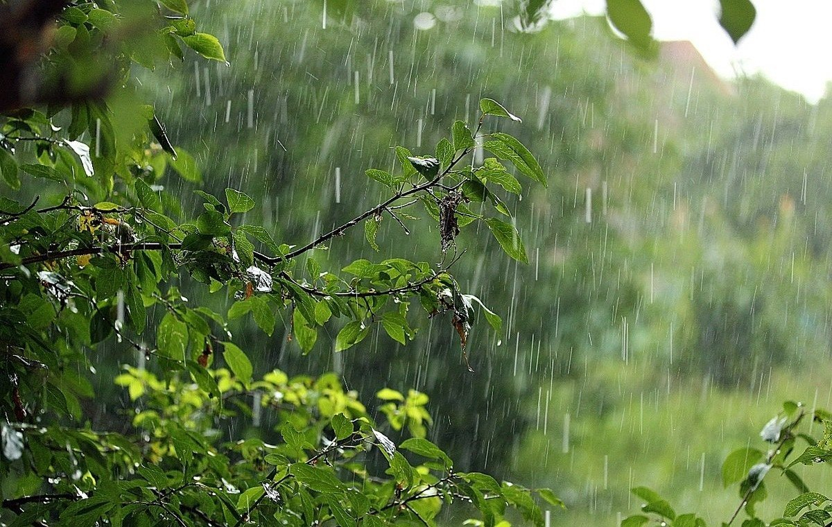 Иллюстрация весенний дождь