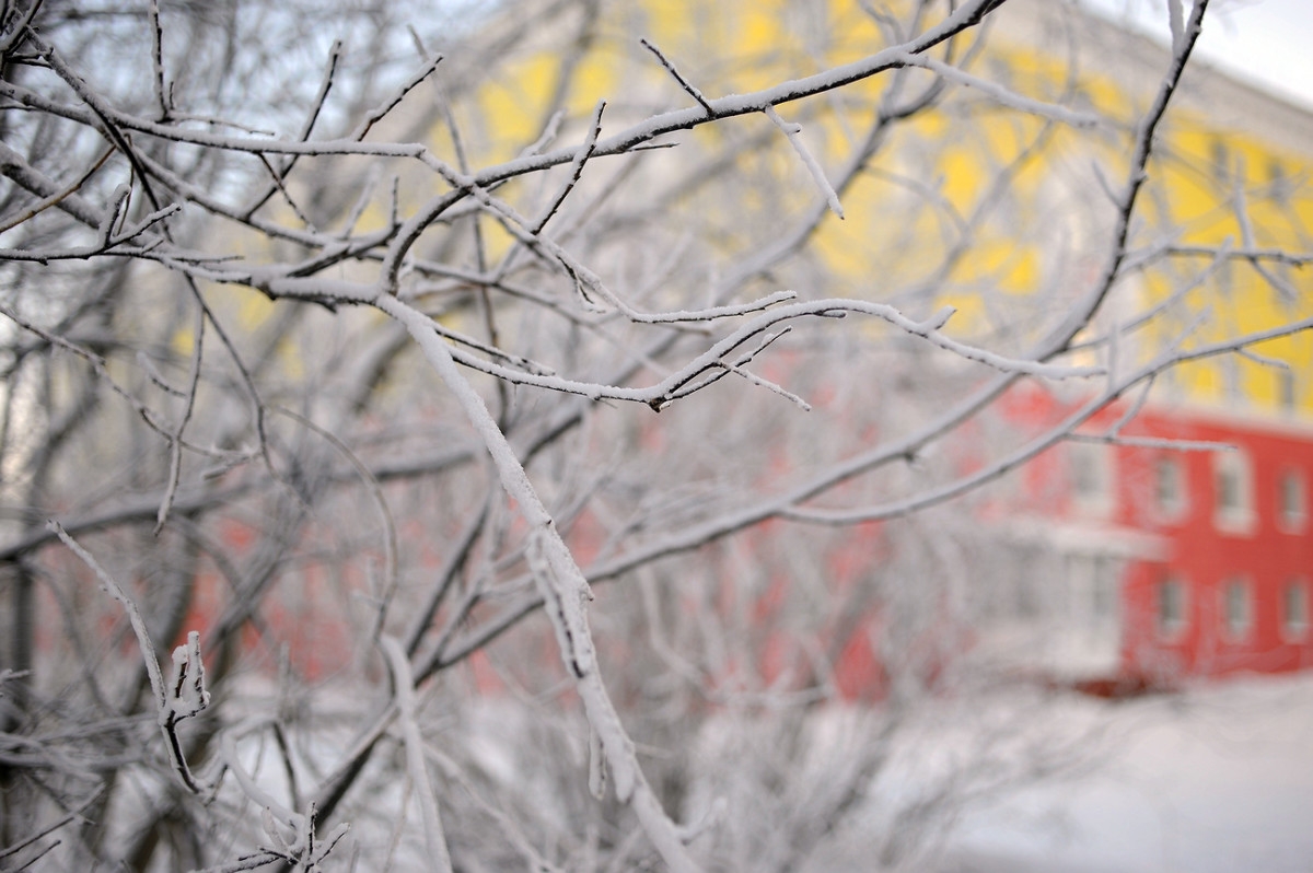 В северных и центральных районах Сахалина сохранится аномально холодная погода
