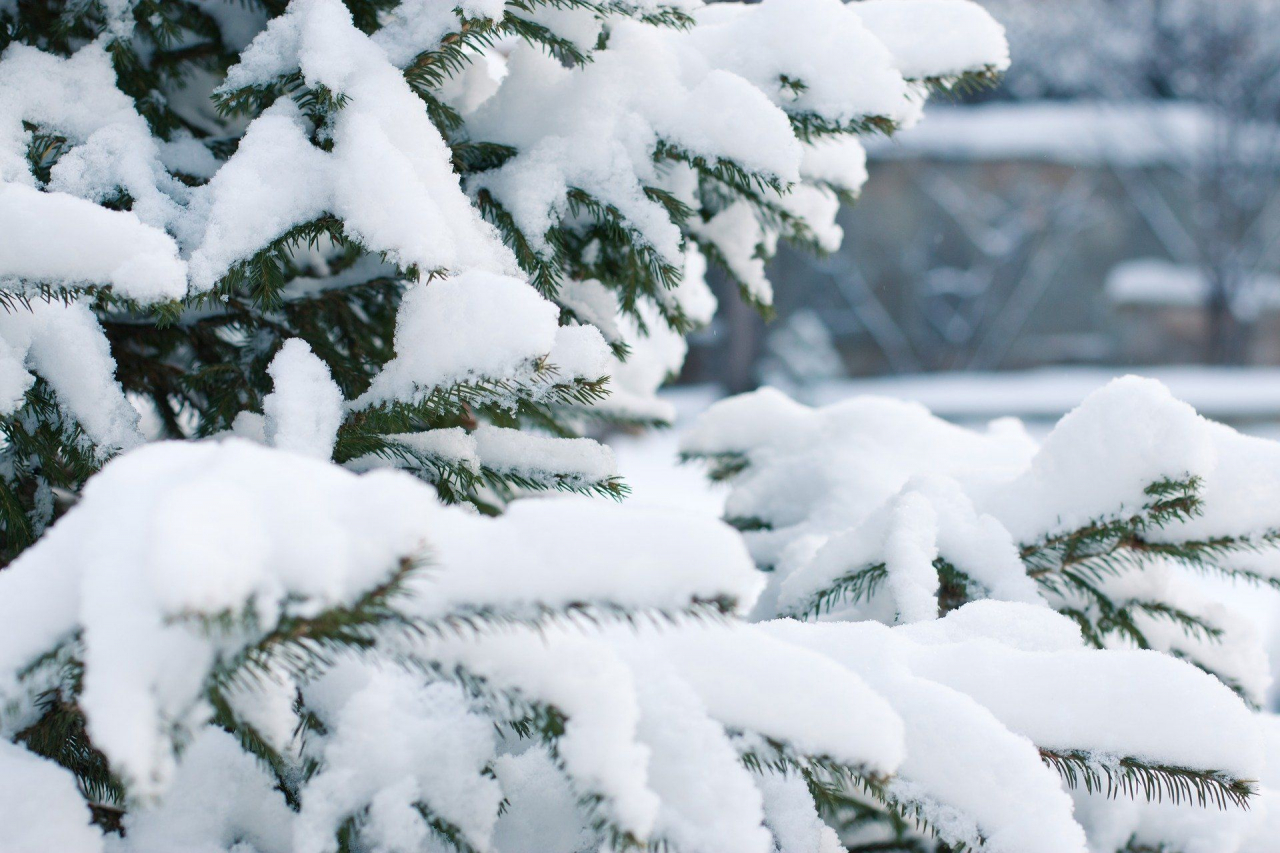 Зима на Сахалине начнется со снегопадов