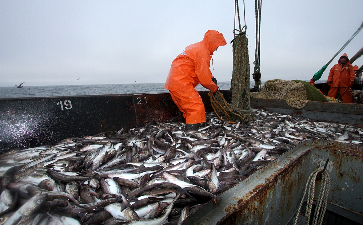 Реализация свежей рыбы по доступным ценам продолжается на Сахалине