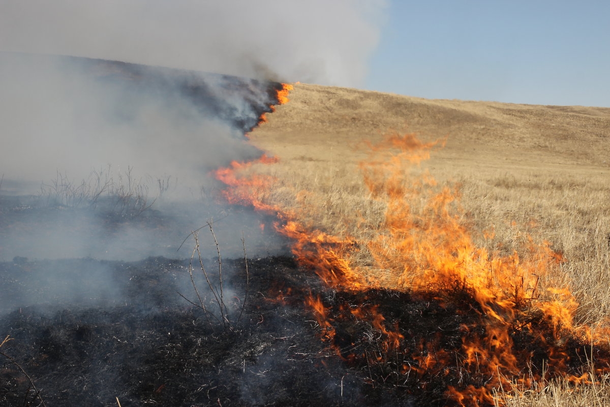 В Охе пожарные ликвидировали возгорание сухой растительности