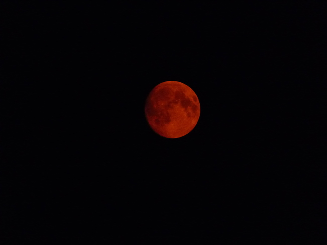 Кровавая Луна появится над Землей в последний день января